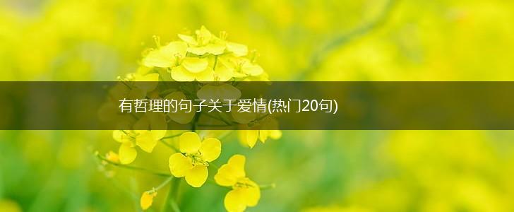 有哲理的句子关于爱情(热门20句),第1张