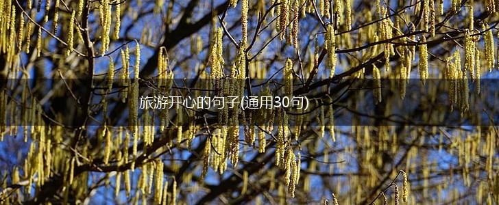 旅游开心的句子(通用30句),第1张