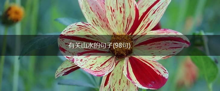 有关山水的句子(98句),第1张