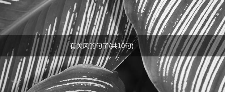 有关风的句子(共10句),第1张
