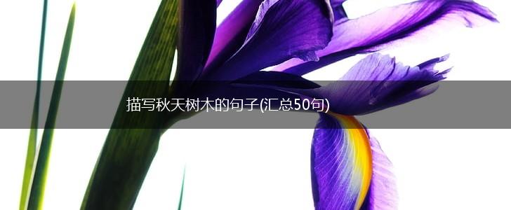 描写秋天树木的句子(汇总50句),第1张