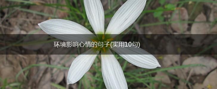 环境影响心情的句子(实用10句),第1张