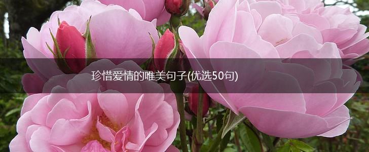 珍惜爱情的唯美句子(优选50句),第1张
