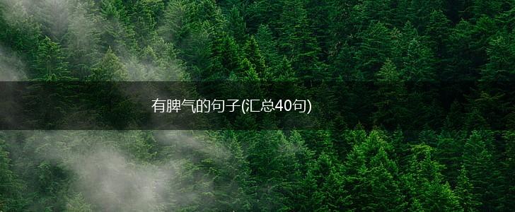 有脾气的句子(汇总40句),第1张