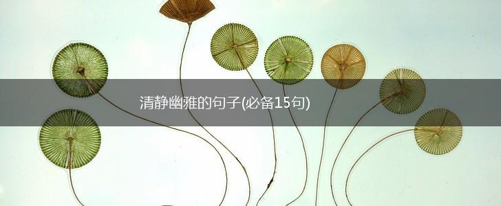 清静幽雅的句子(必备15句),第1张