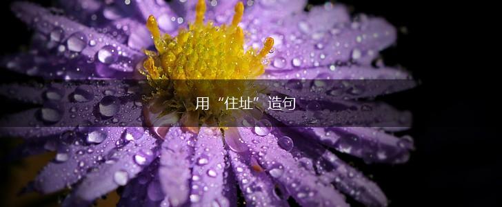 用“住址”造句,第1张 用“住址”造句,第1张