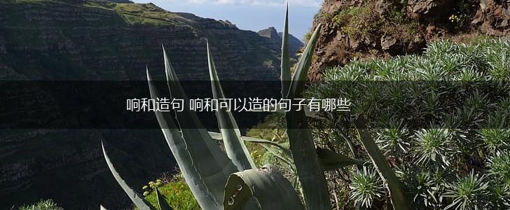 响和造句 响和可以造的句子有哪些,第1张 响和造句 响和可以造的句子有哪些,第1张