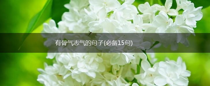 有骨气志气的句子(必备15句),第1张