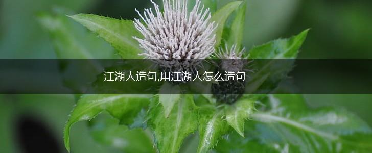 江湖人造句,用江湖人怎么造句,第1张