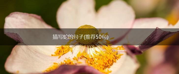 描写蛇的句子(推荐50句),第1张