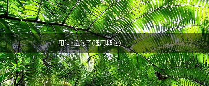 用fun造句子(通用15句),第1张