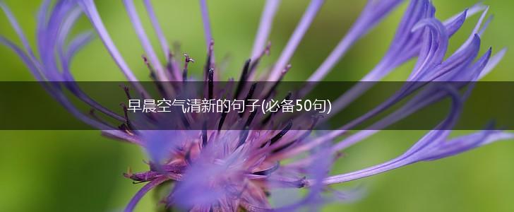 早晨空气清新的句子(必备50句),第1张
