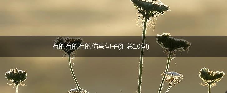 有的有的有的仿写句子(汇总10句),第1张
