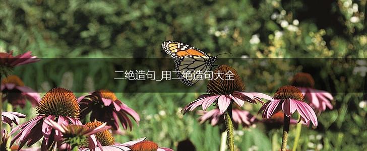 二绝造句_用二绝造句大全,第1张