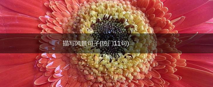 描写风景句子(热门11句),第1张