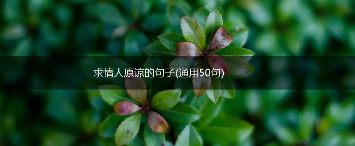 求情人原谅的句子(通用50句),第1张