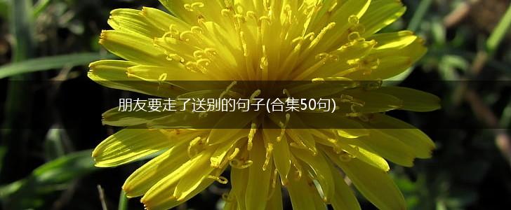 朋友要走了送别的句子(合集50句),第1张