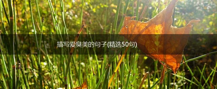 描写爱臭美的句子(精选50句),第1张