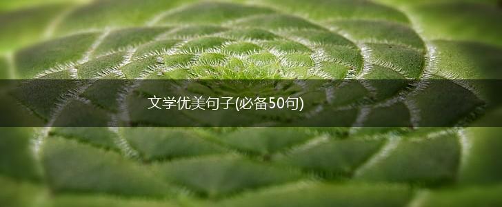 文学优美句子(必备50句),第1张