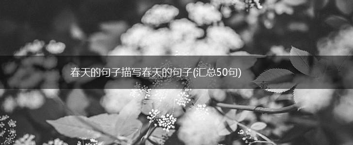 春天的句子描写春天的句子(汇总50句),第1张