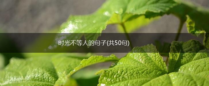 时光不等人的句子(共50句),第1张