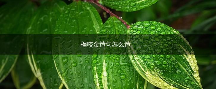 程咬金造句怎么造,第1张 程咬金造句怎么造,第1张