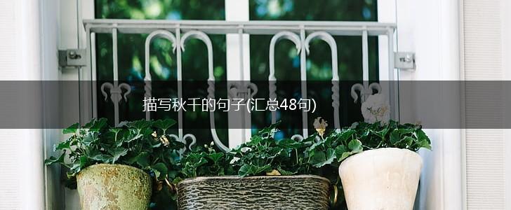 描写秋千的句子(汇总48句),第1张