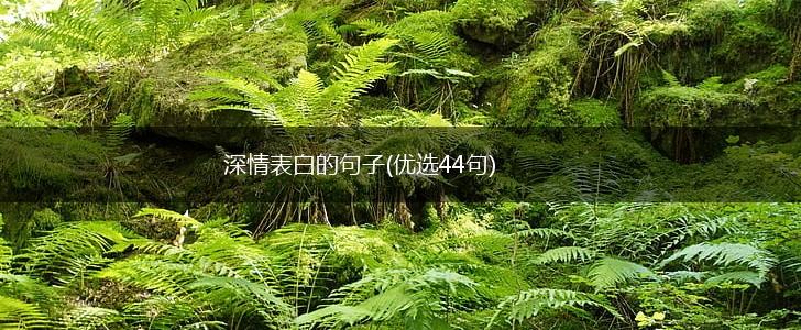 深情表白的句子(优选44句),第1张