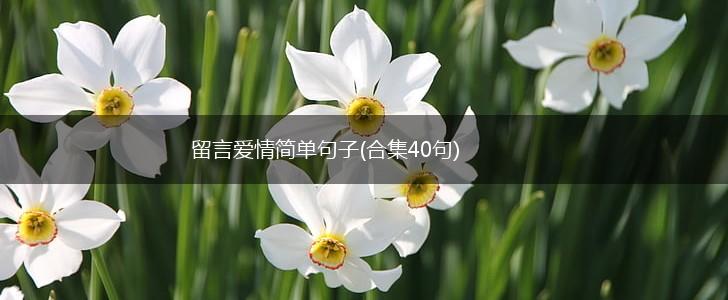 留言爱情简单句子(合集40句),第1张