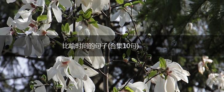 比喻时间的句子(合集10句),第1张