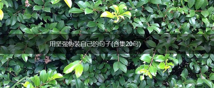 用坚强伪装自己的句子(合集20句),第1张