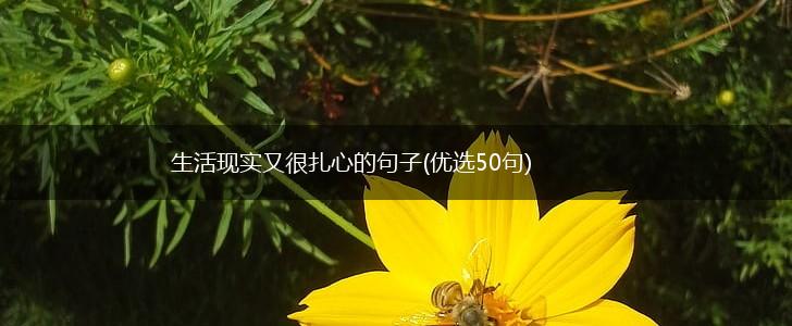 生活现实又很扎心的句子(优选50句),第1张