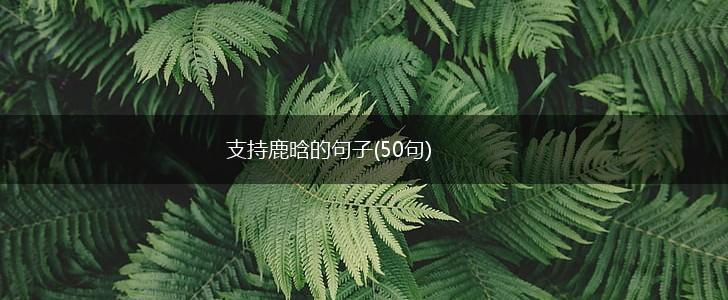 支持鹿晗的句子(50句),第1张