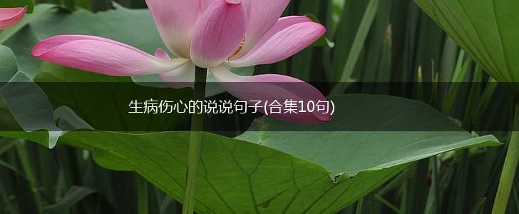 生病伤心的说说句子(合集10句),第1张