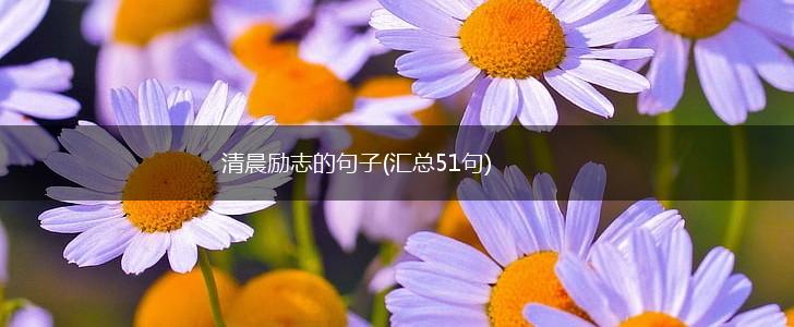 清晨励志的句子(汇总51句),第1张