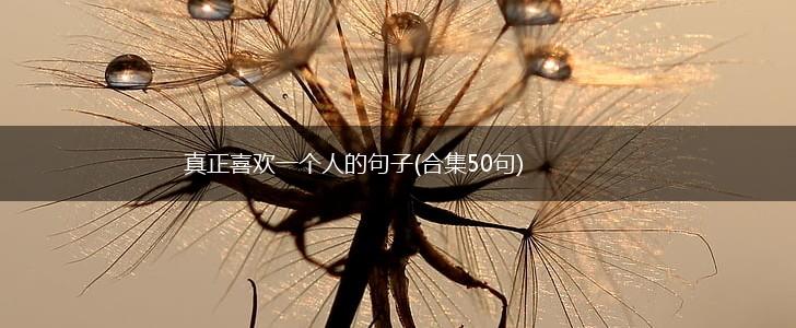 真正喜欢一个人的句子(合集50句),第1张