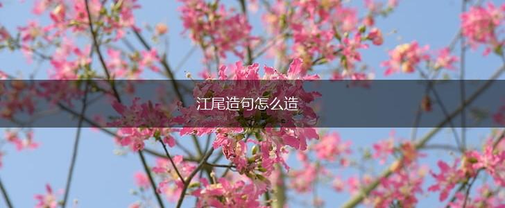 江尾造句怎么造,第1张
