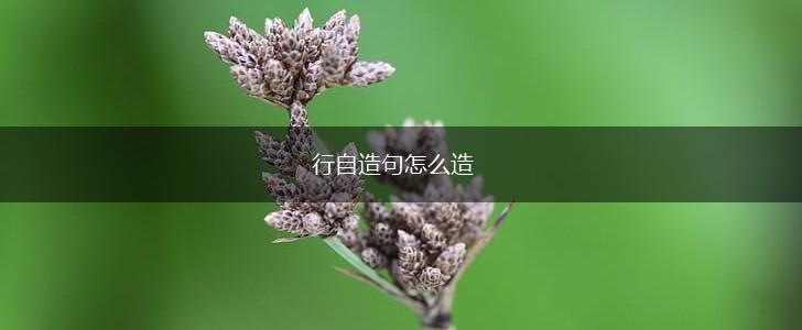 行自造句怎么造,第1张 行自造句怎么造,第1张