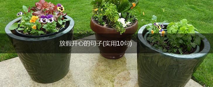 放假开心的句子(实用10句),第1张