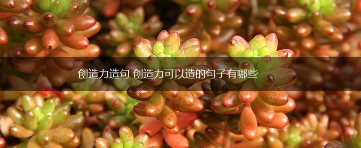 创造力造句 创造力可以造的句子有哪些,第1张