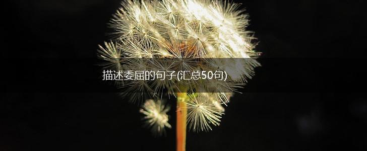 描述委屈的句子(汇总50句),第1张