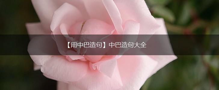 【用中巴造句】中巴造句大全,第1张 【用中巴造句】中巴造句大全,第1张
