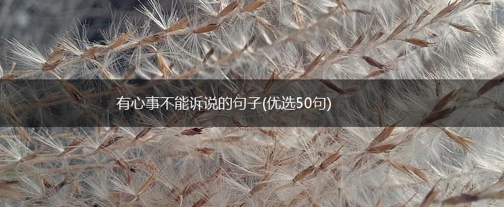 有心事不能诉说的句子(优选50句),第1张