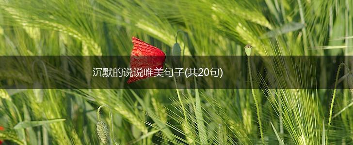 沉默的说说唯美句子(共20句),第1张
