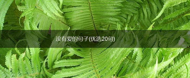 没有爱的句子(优选20句),第1张