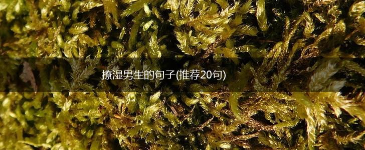 撩湿男生的句子(推荐20句),第1张