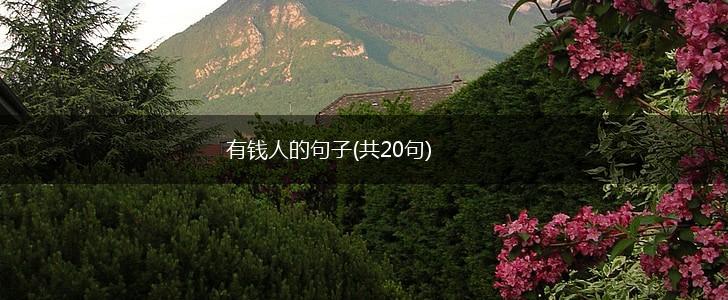 有钱人的句子(共20句),第1张