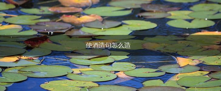 使酒造句怎么造,第1张