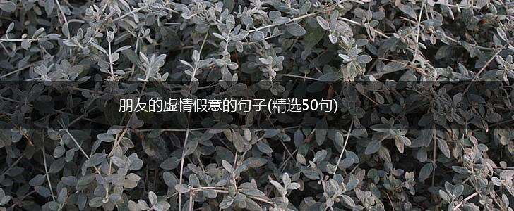 朋友的虚情假意的句子(精选50句),第1张