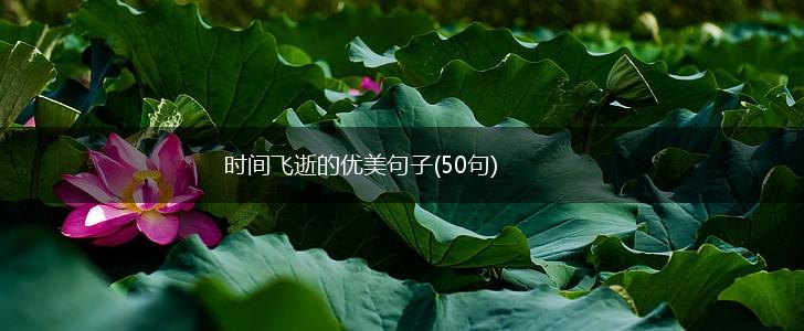 时间飞逝的优美句子(50句),第1张